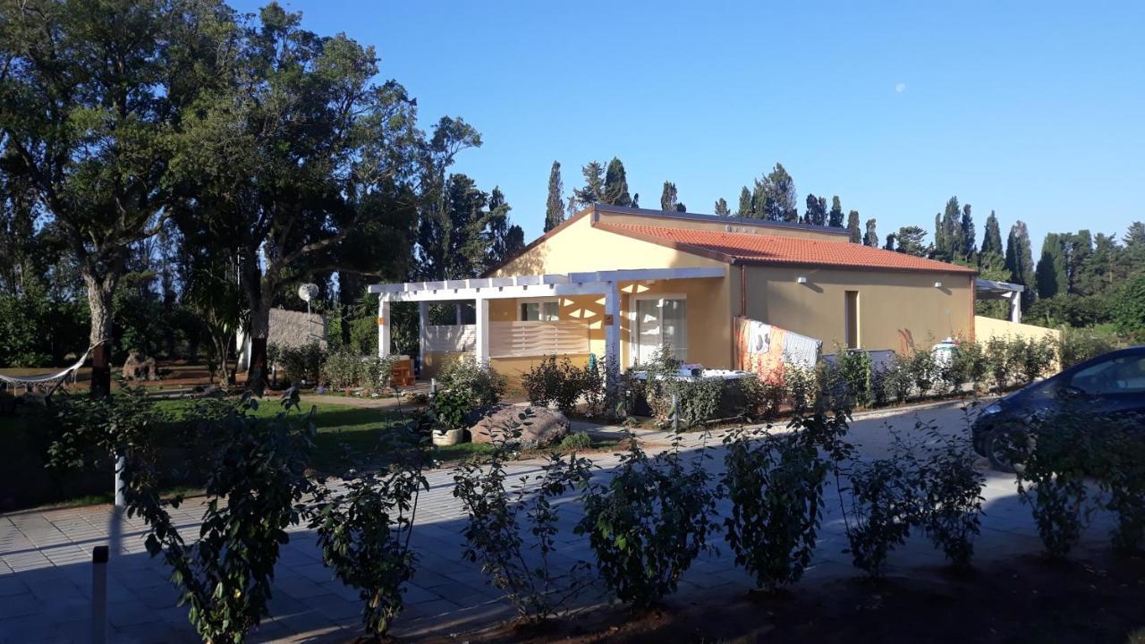 Azienda Agricola I Peperoncini อาลเกโร ภายนอก รูปภาพ